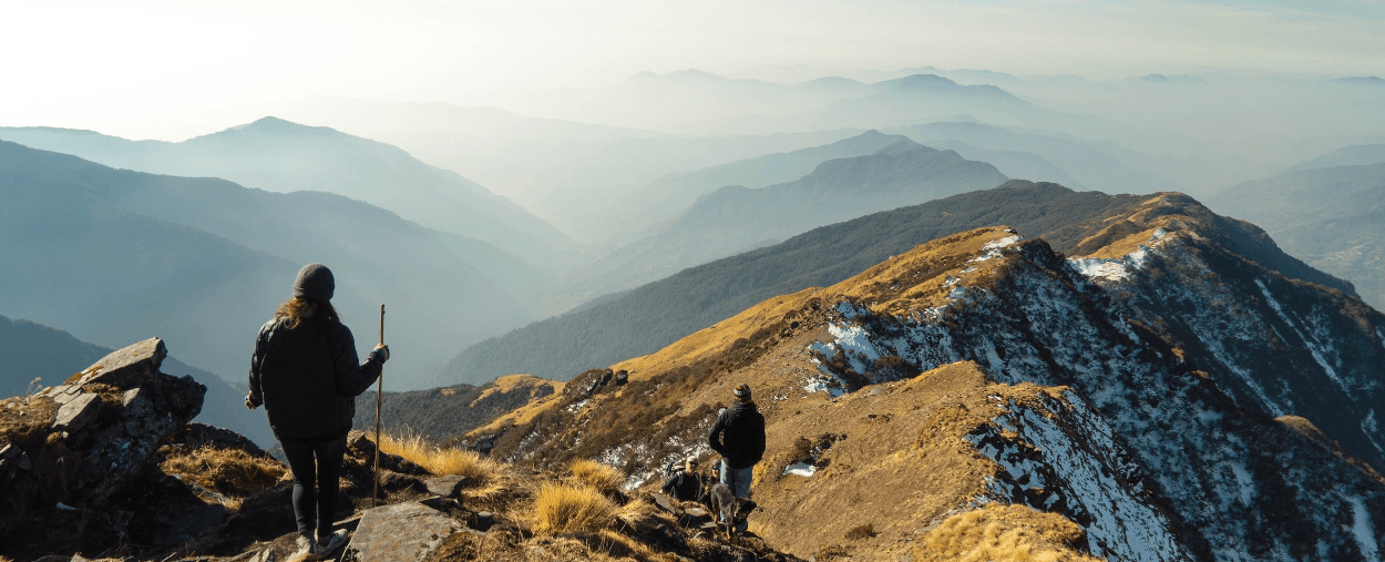Alpine Home Air Products