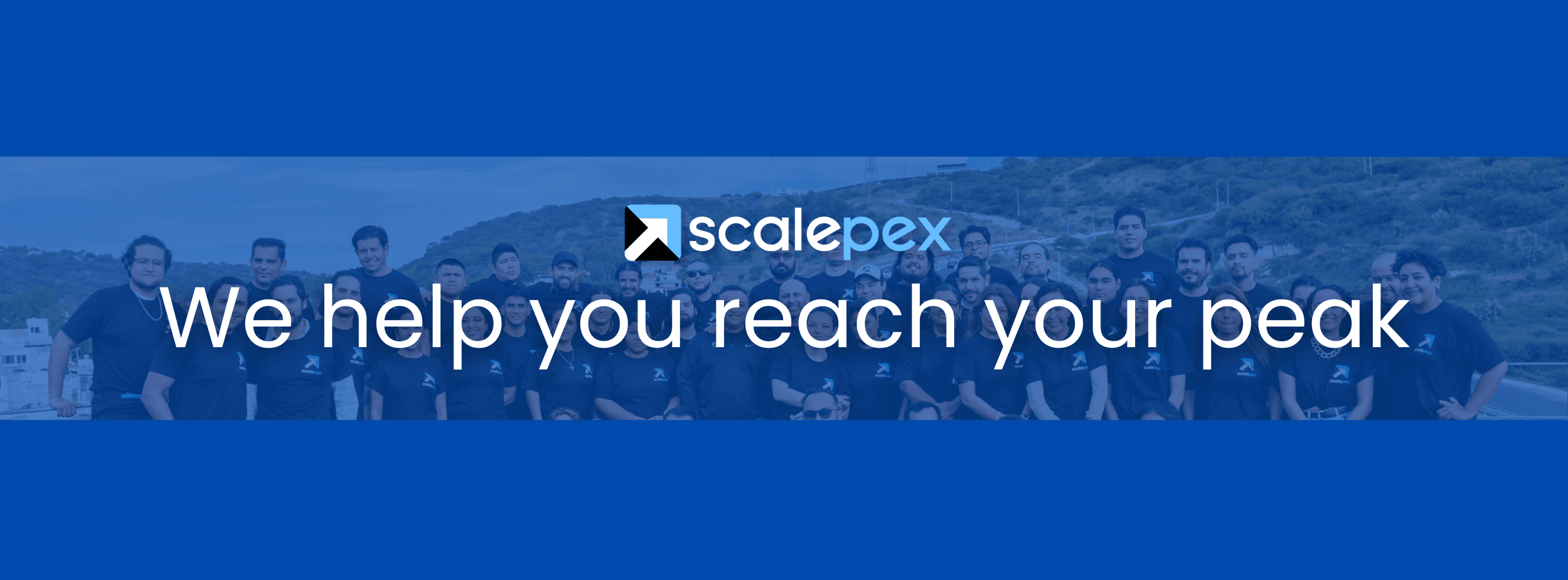 Scalepex