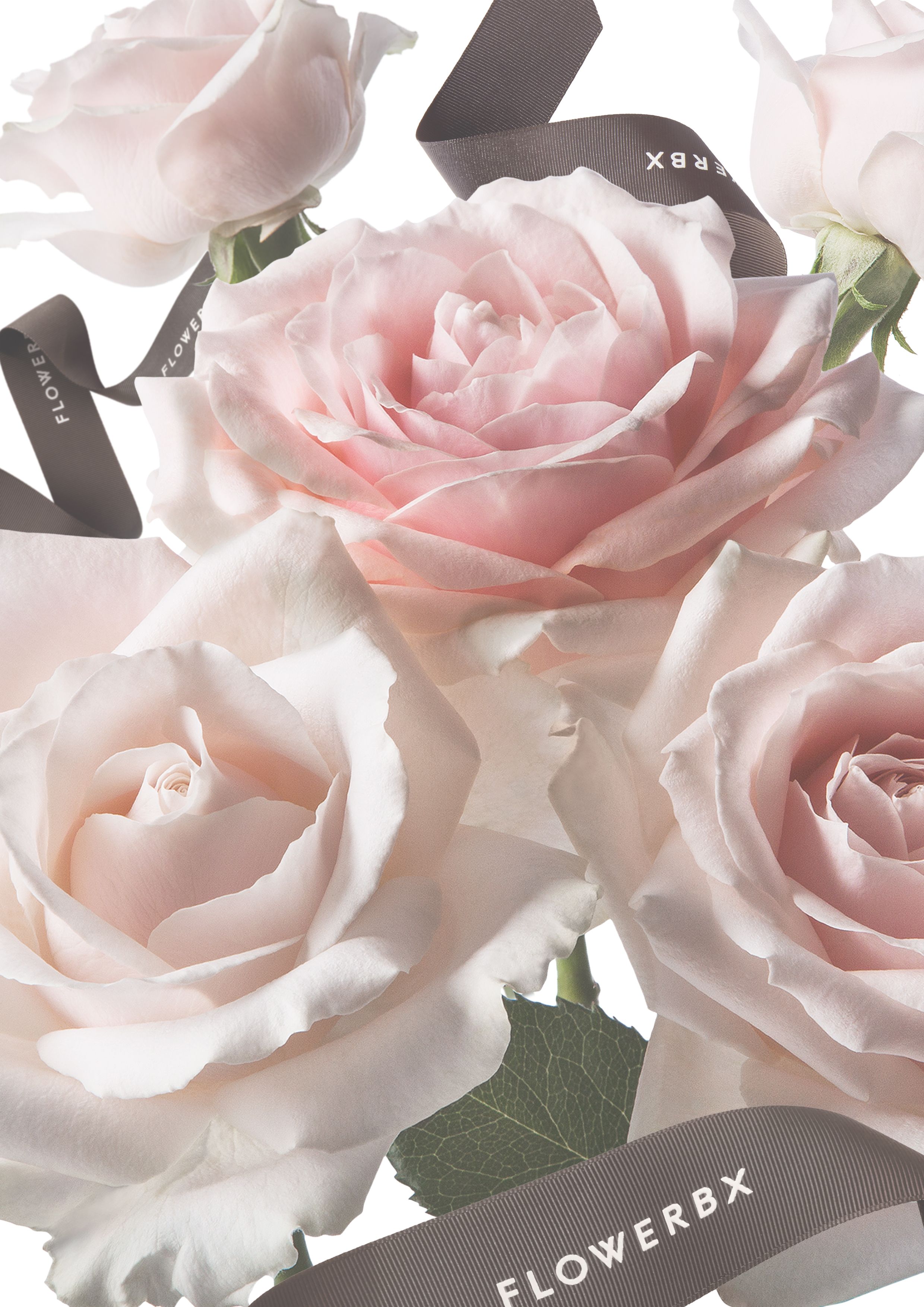 FLOWERBX