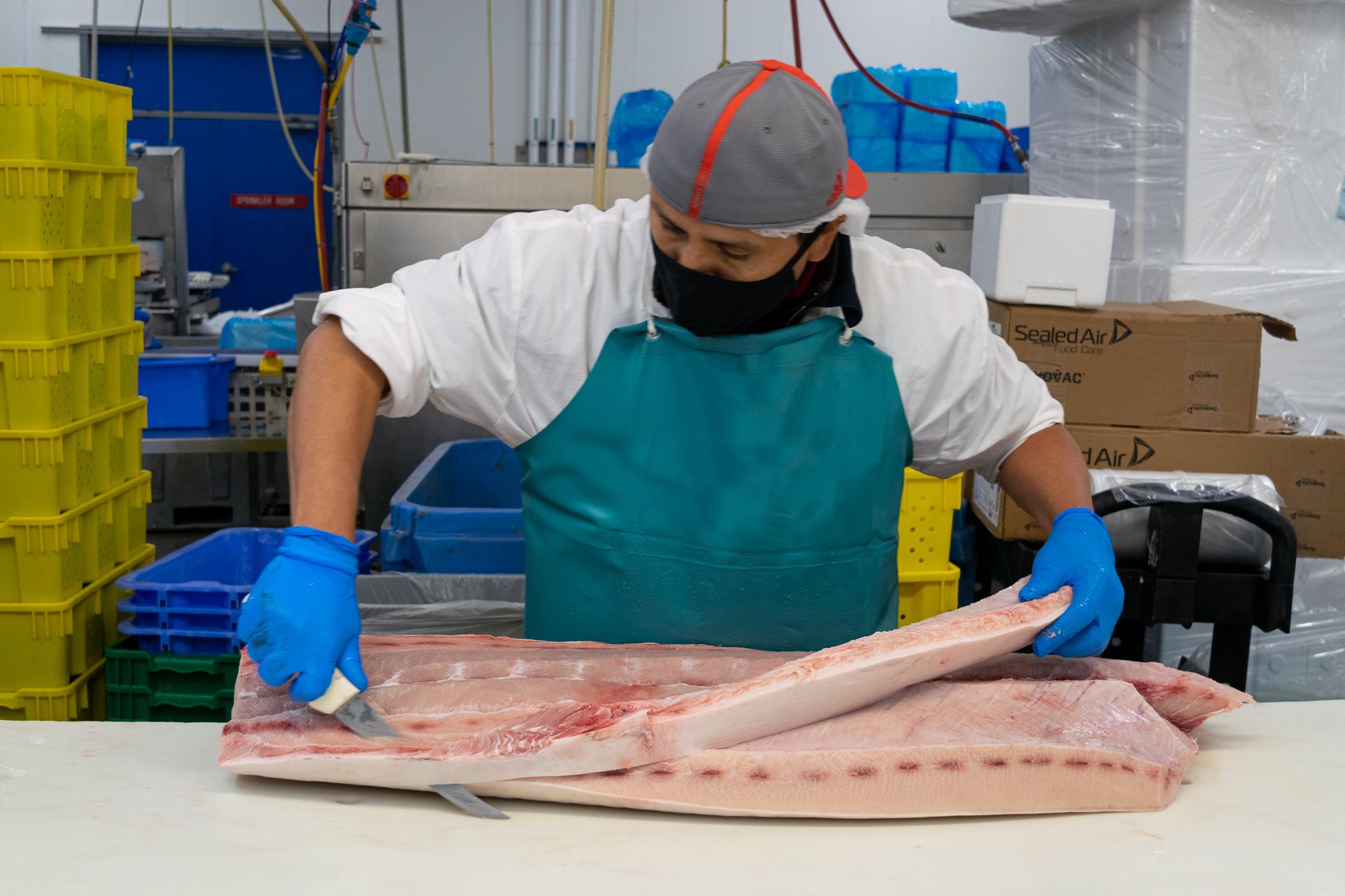 North Coast Seafoods