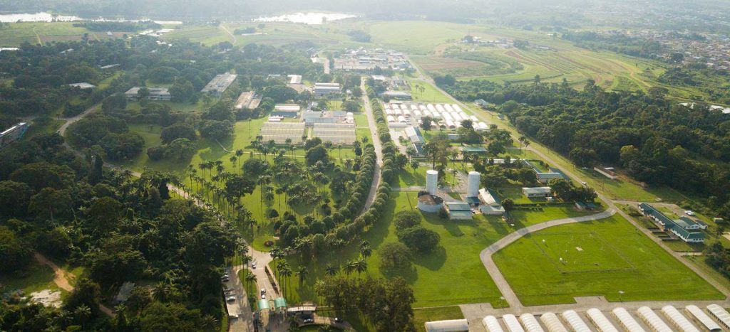 International Institute of Tropical Agriculture(IITA)