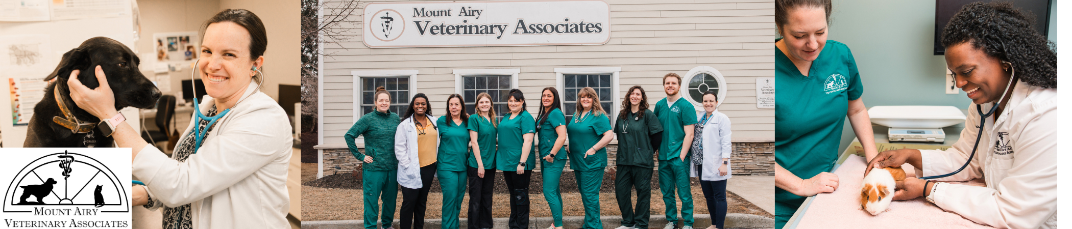 Mount Airy Veterinary Associates