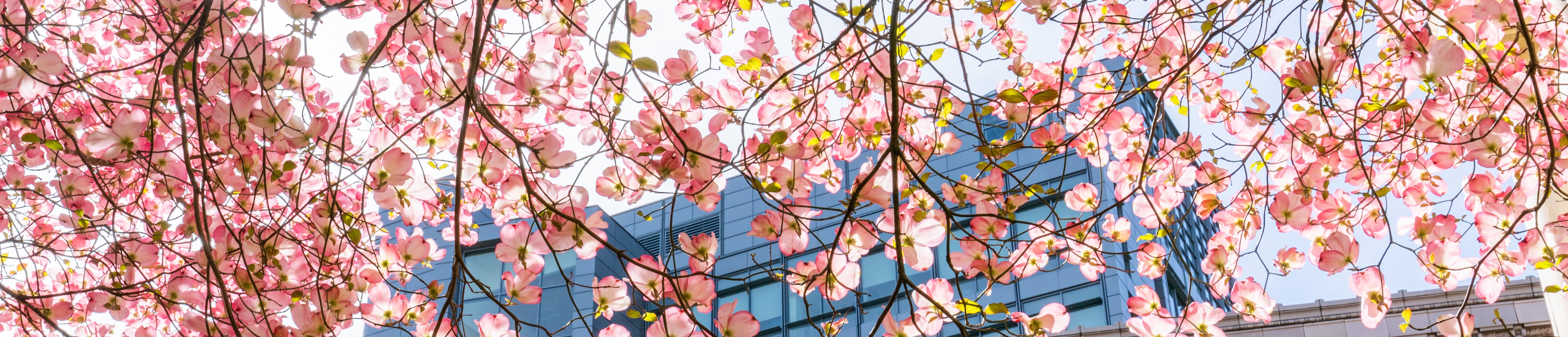 Oregon Health & Science University Foundation