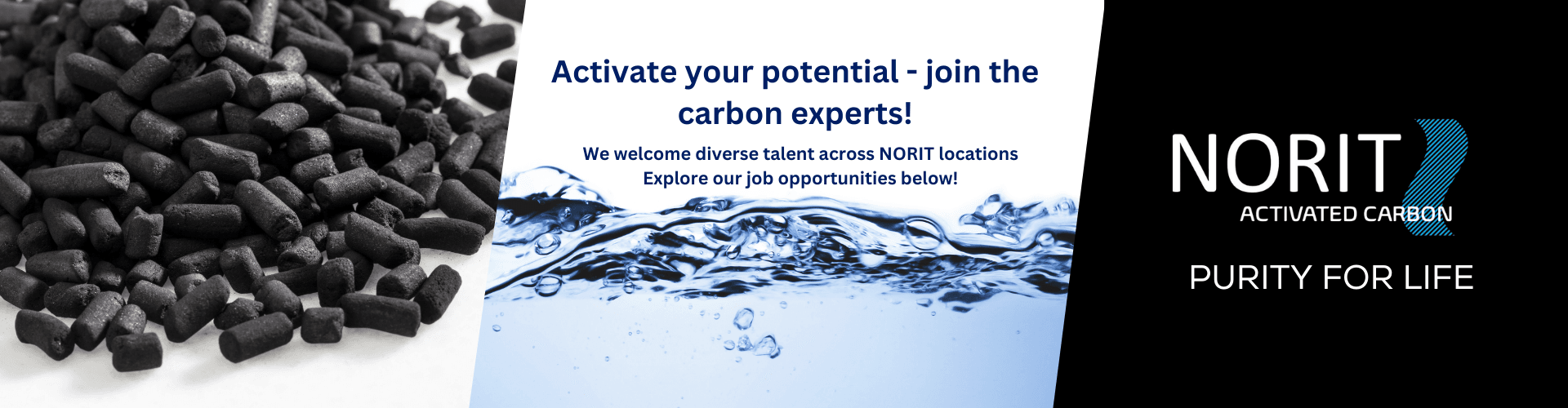 NORIT Activated Carbon