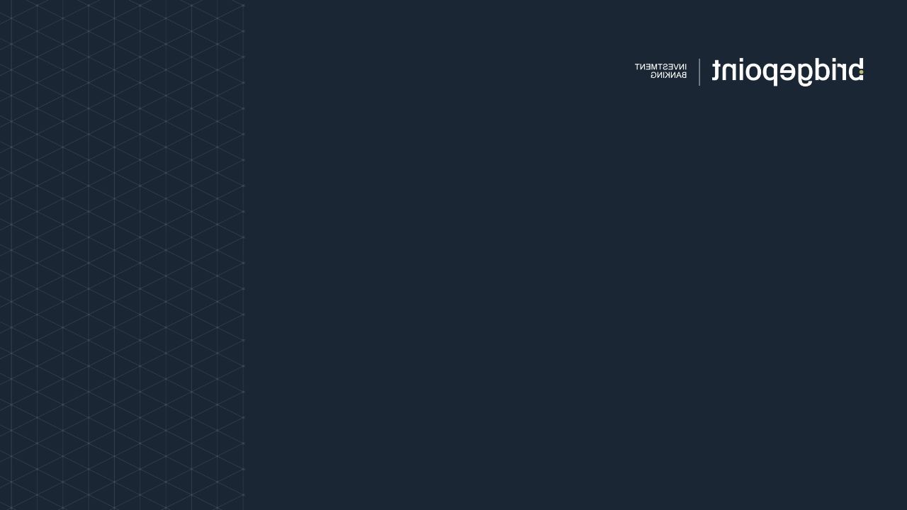 Bridgepoint Investment Banking