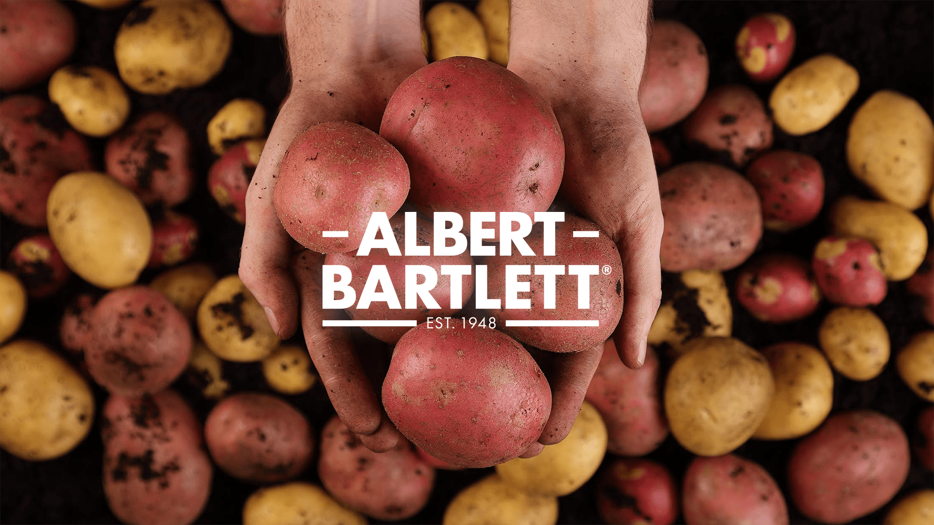 Albert Bartlett