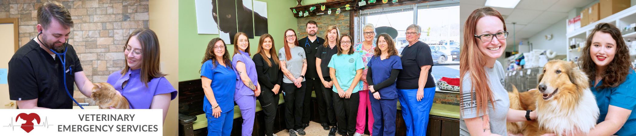 Veterinary Emergency Services