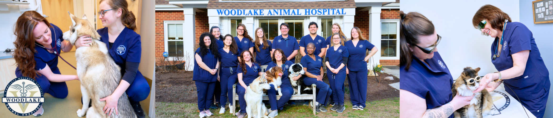 Woodlake Animal Hospital