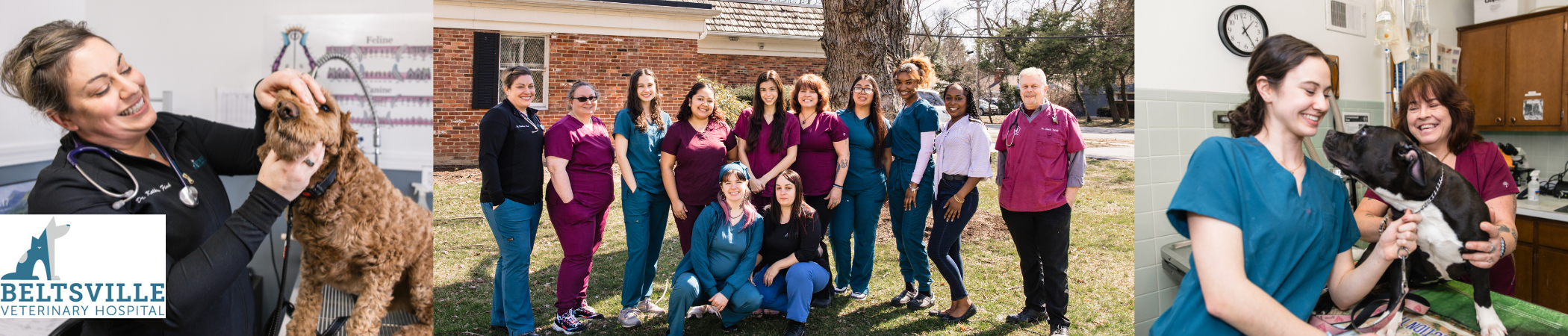 Beltsville Veterinary Hospital