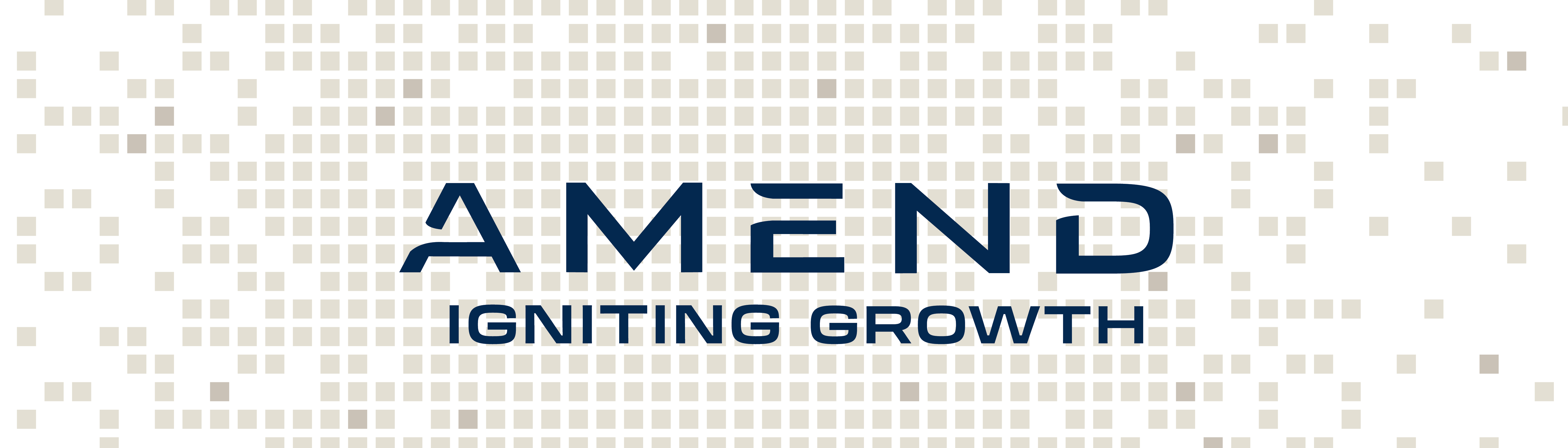 AMEND Consulting