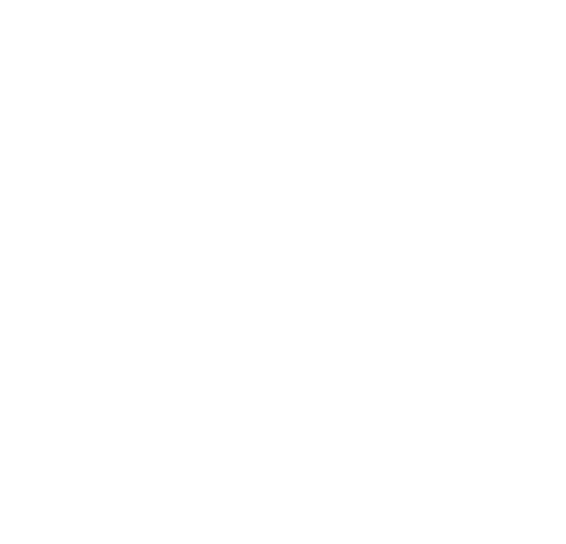 Terra Quantum