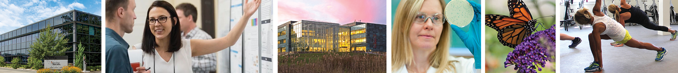 New England Biolabs