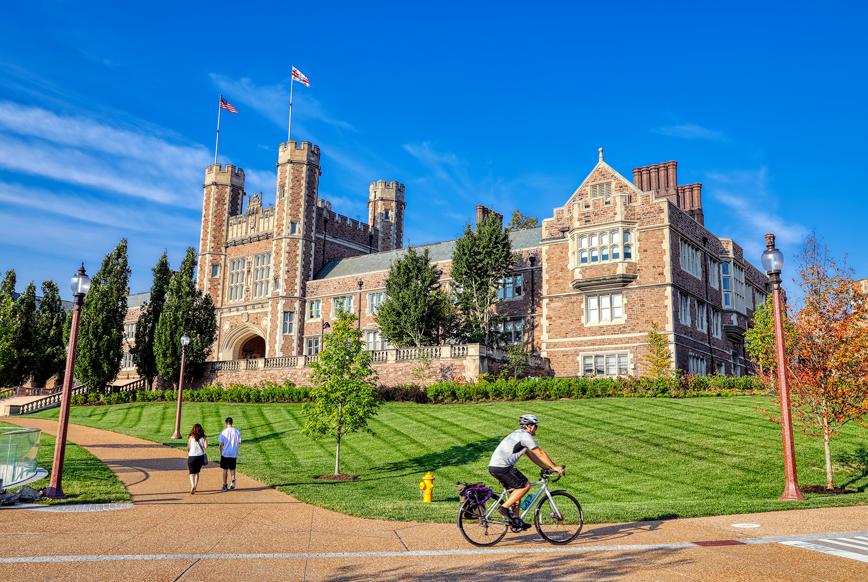 Washington University in St. Louis