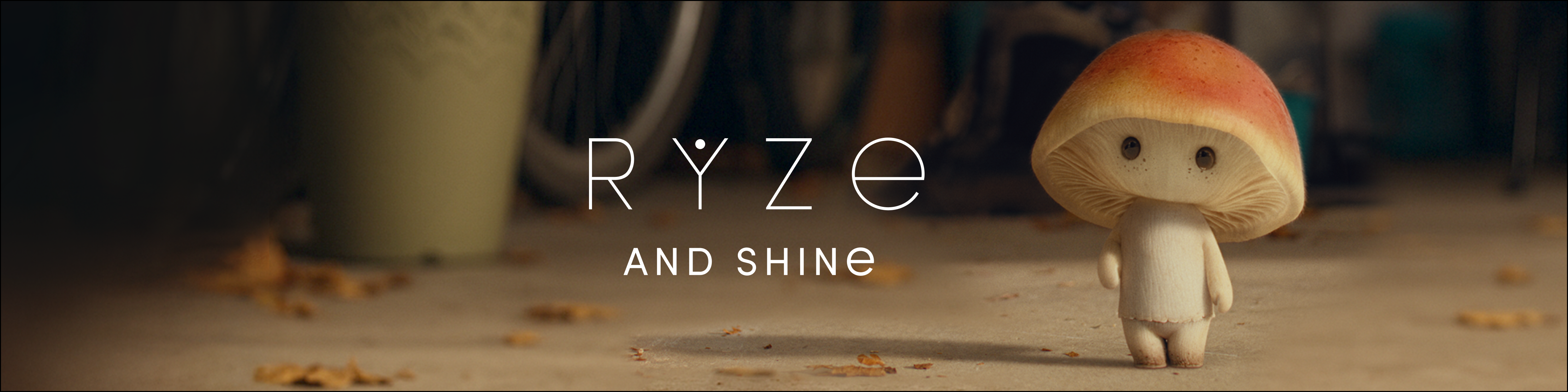 Ryze Superfoods