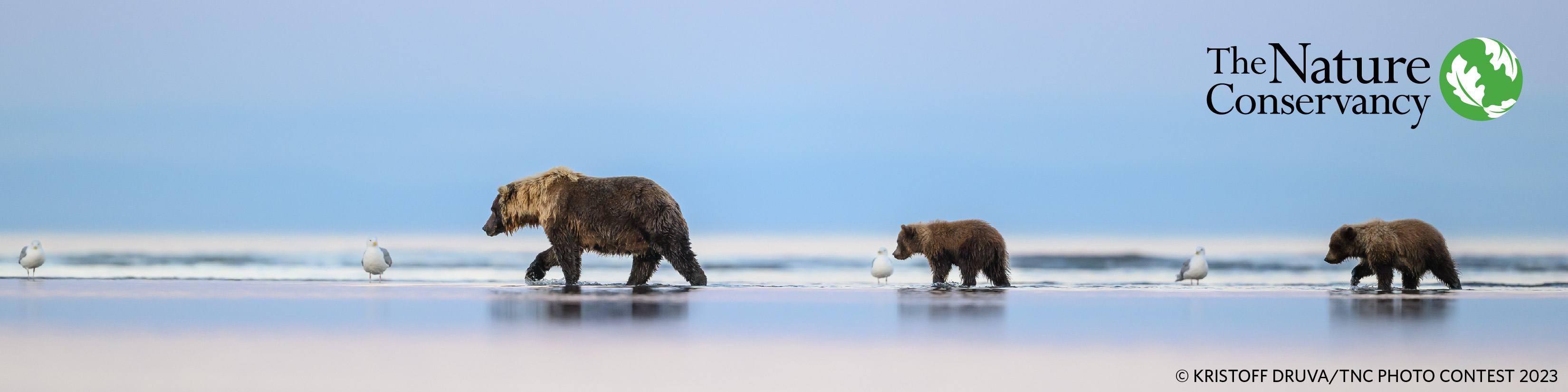 The Nature Conservancy