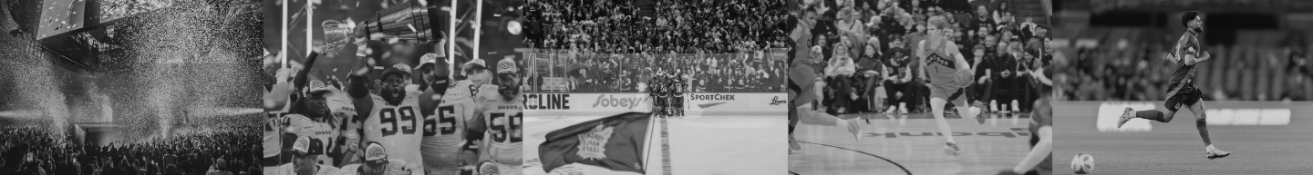 Maple Leaf Sports & Entertainment