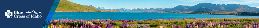 Blue Cross of Idaho