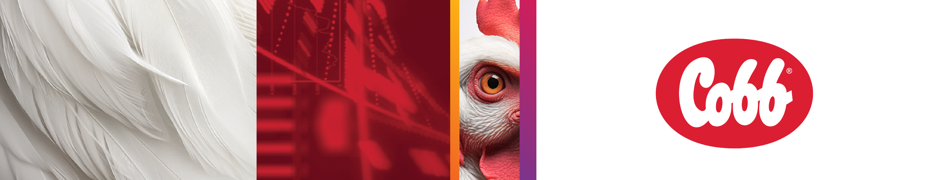 Tyson Foods