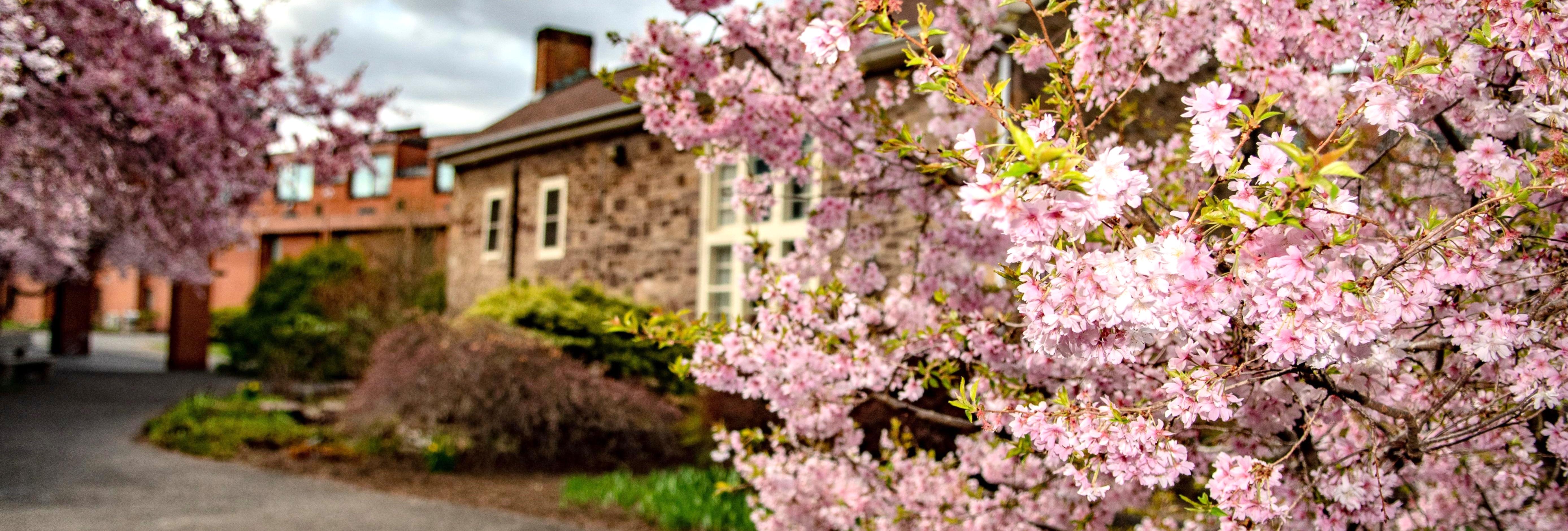 Bucks County Community College