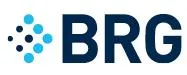 Berkeley Research Group (BRG)