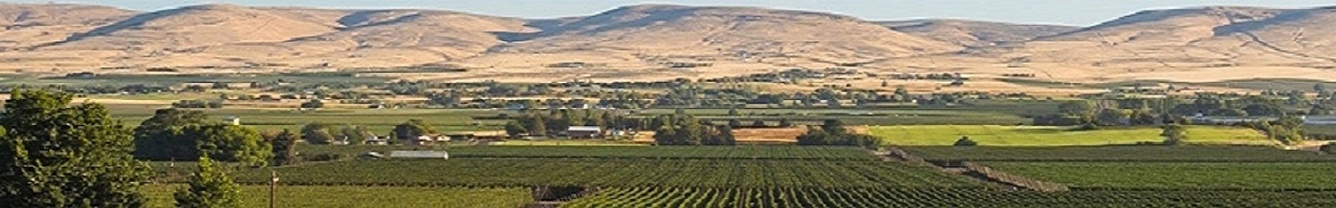 Yakima County