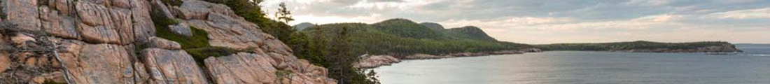L.L.Bean