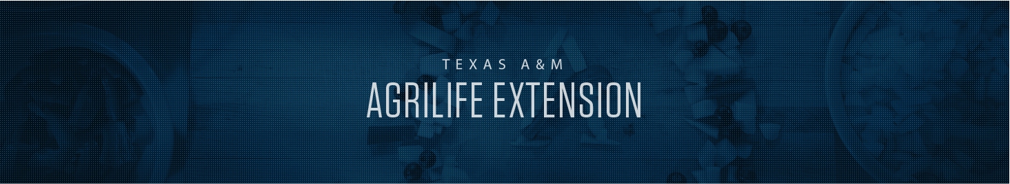 Texas A&M University System