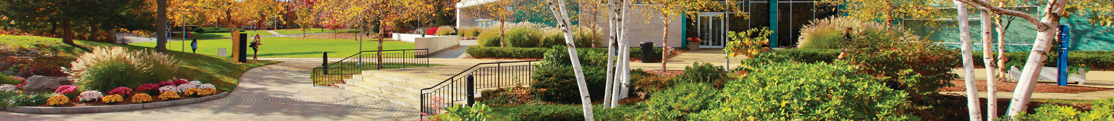 Brandeis University
