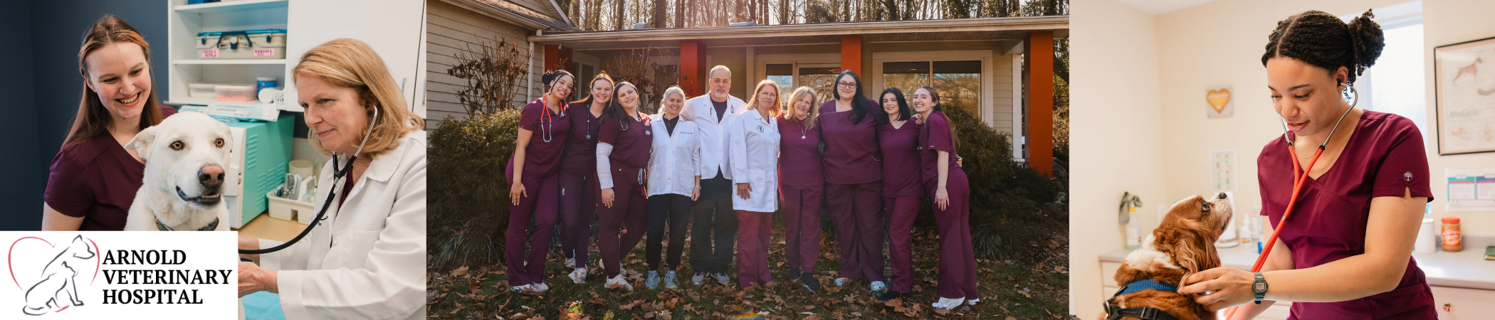 Arnold Veterinary Hospital