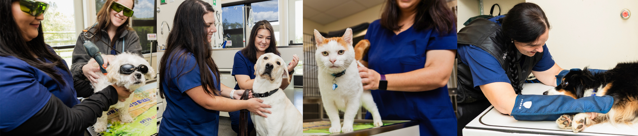 Nonantum Veterinary Clinic