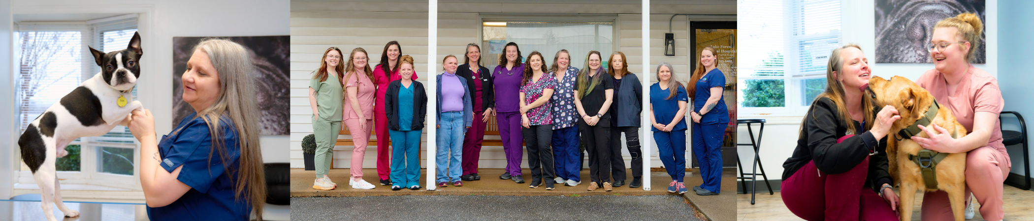 Lake Forest Animal Hospital