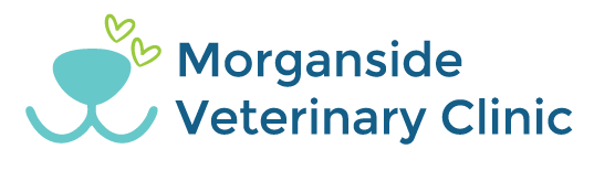 Morganside Veterinary Clinic