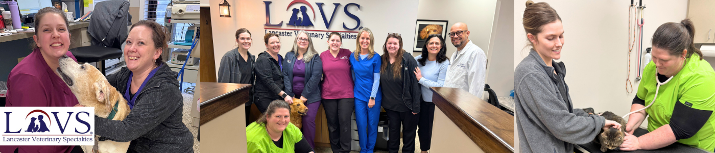 Lancaster Veterinary Specialties