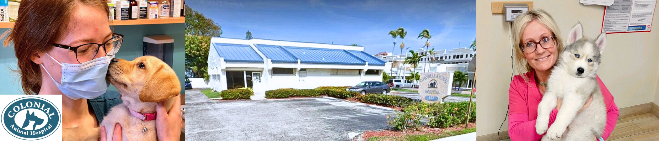 Colonial Animal Hospital