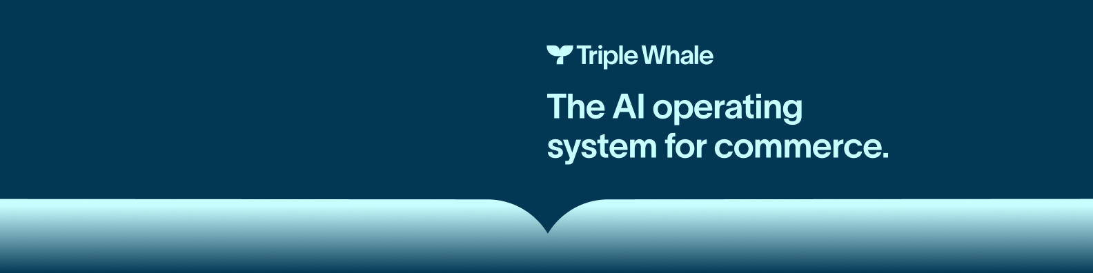 Triple Whale