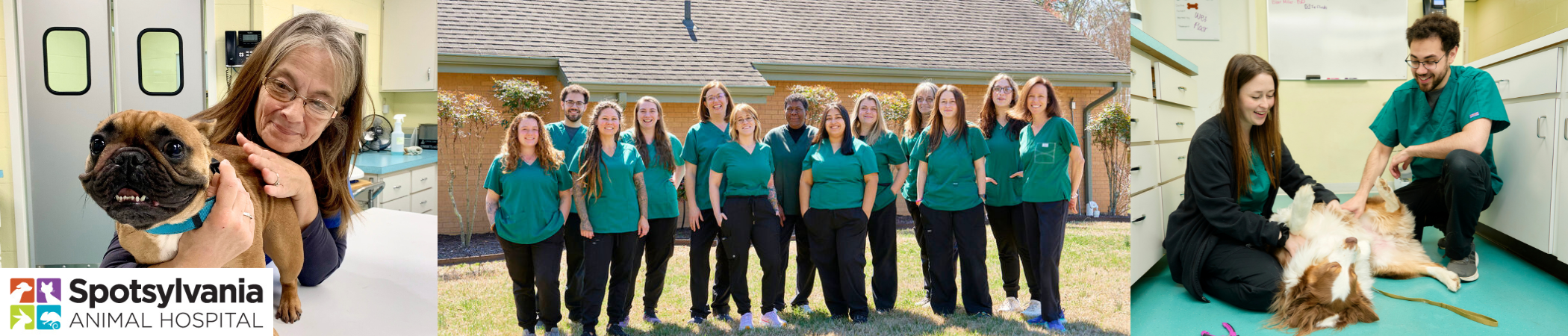 Spotsylvania Animal Hospital