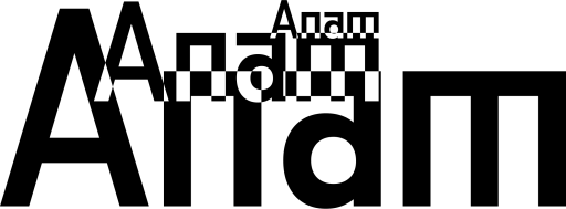Anam AI