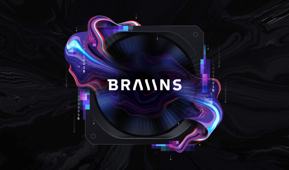 Braiins
