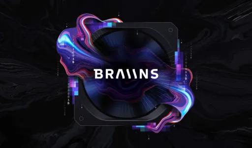 Braiins