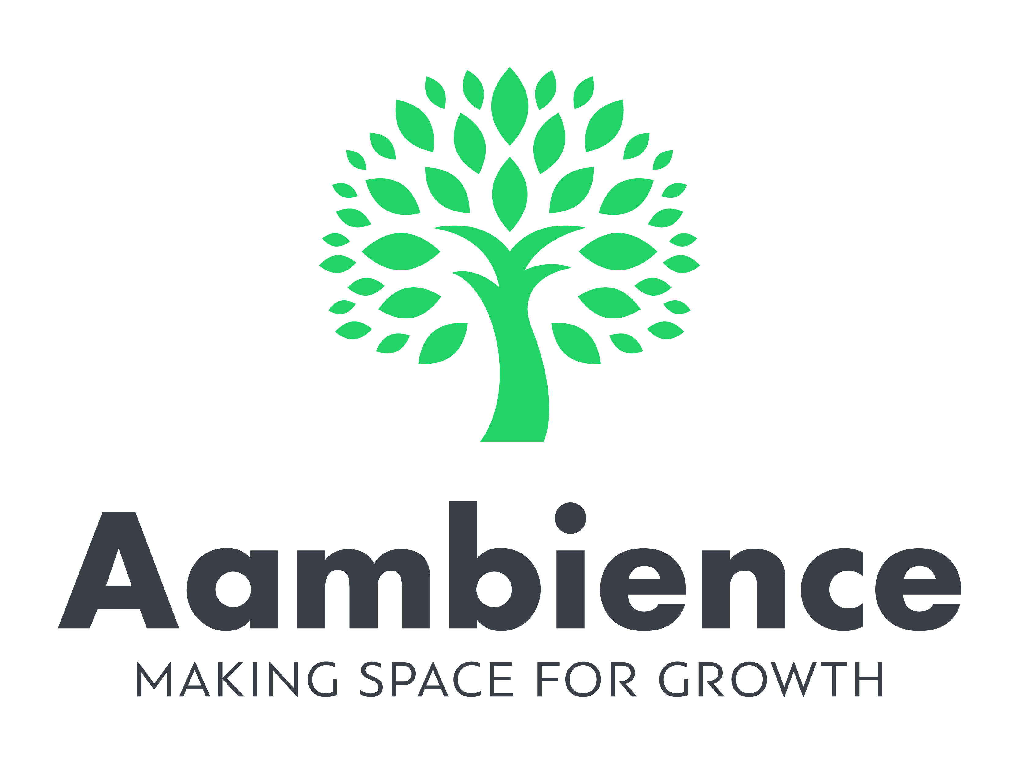 Aambience Services