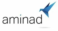 Aminad Consulting