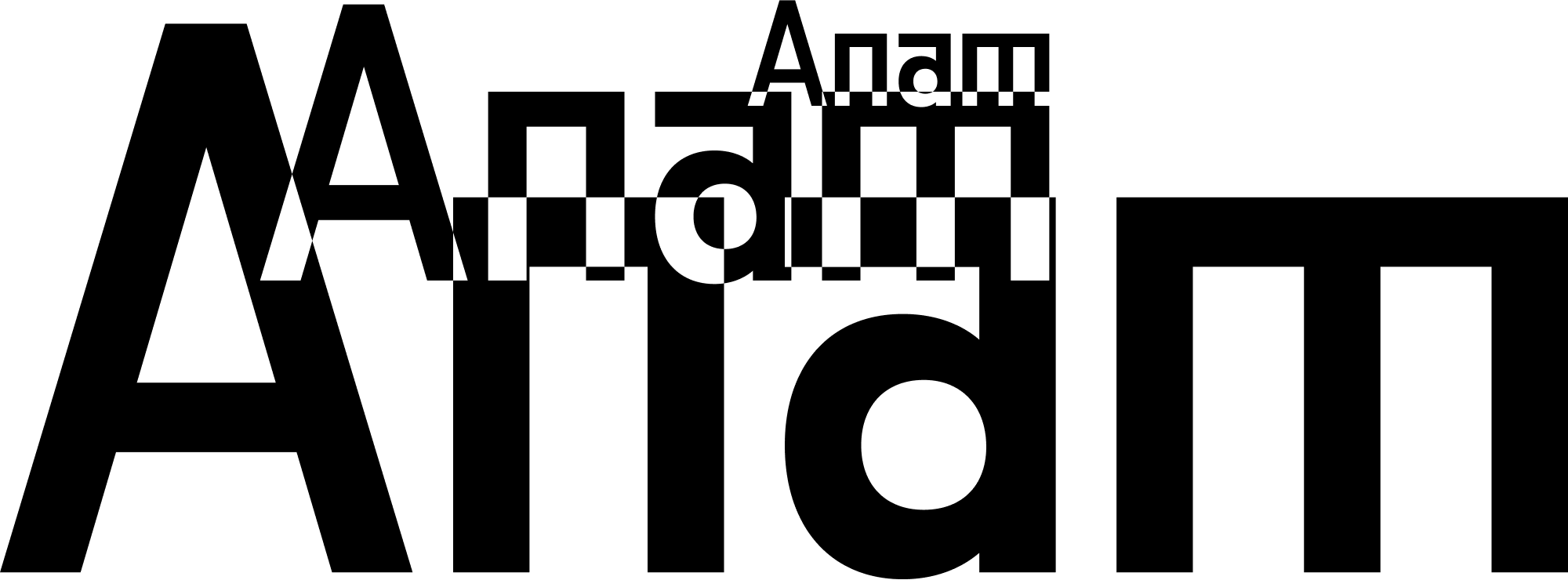 Anam AI
