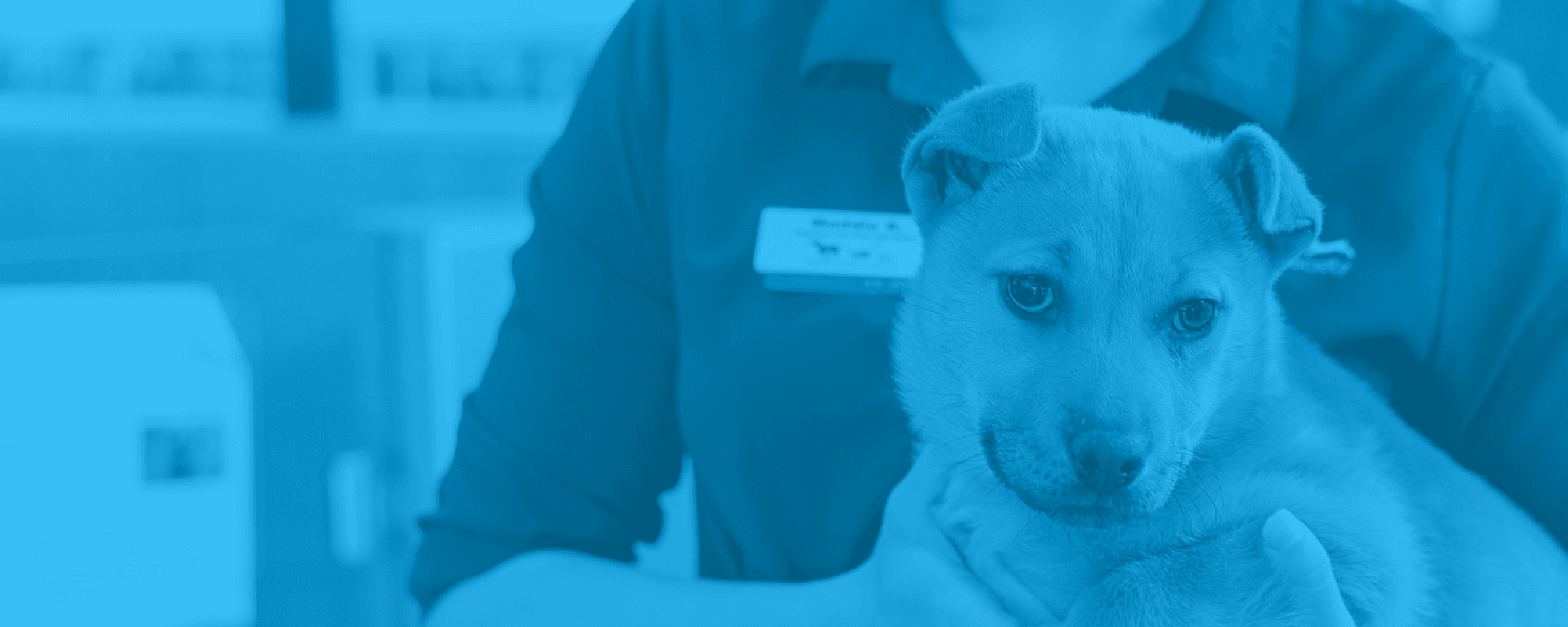 Animal Humane Society