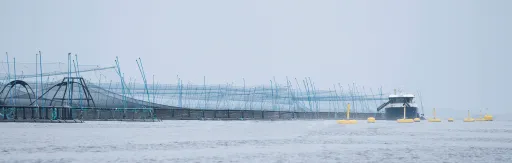 Aquabyte