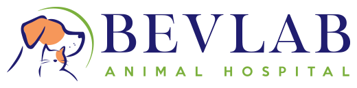 Bevlab Animal Hospital