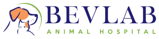 Bevlab Animal Hospital