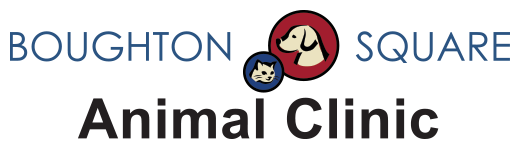 Boughton Square Animal Clinic