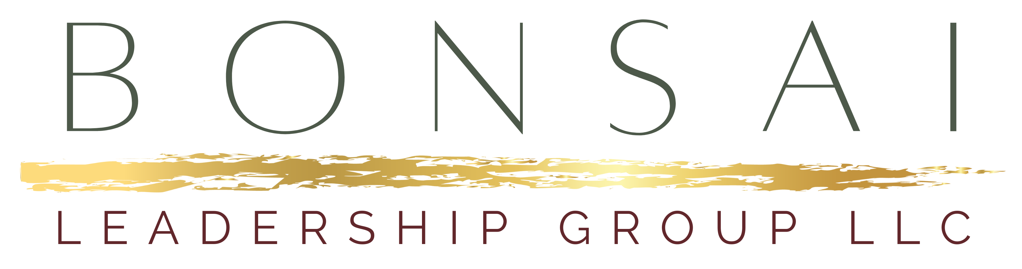 Bonsaileadershipgroup
