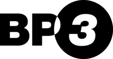 BP3 Global, Inc.