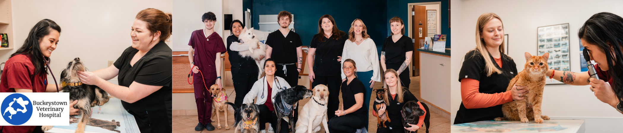 Buckeystown Veterinary Hospital